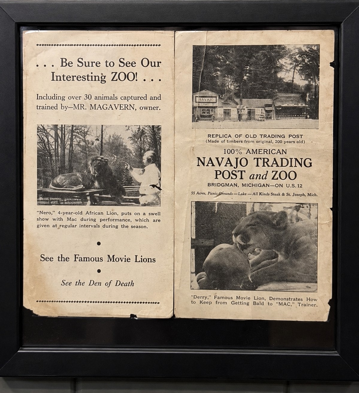 Original Navajo Trading Post and Zoo advertising flyer featuring Mac Magavern and the Famous Movie Lions